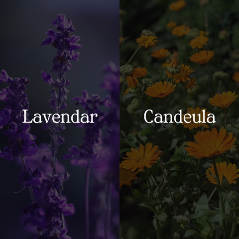 Lavender & Chamomile Body Wash