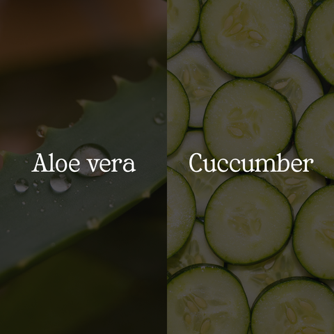 Aloevera Hydrating Shampoo