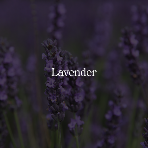 Pure Lavender Toner