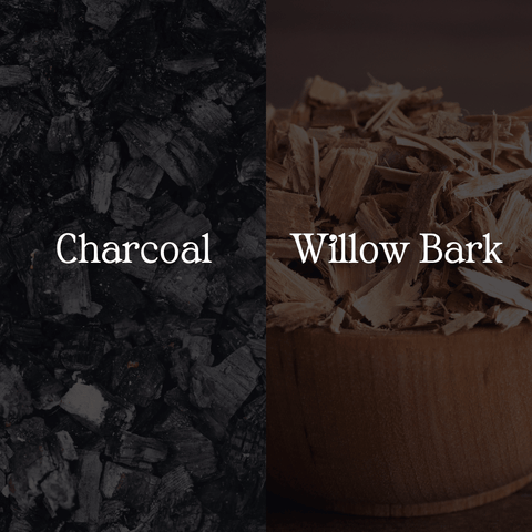 Charcoal Detox Face Mask - Sun Kissed Skin Care