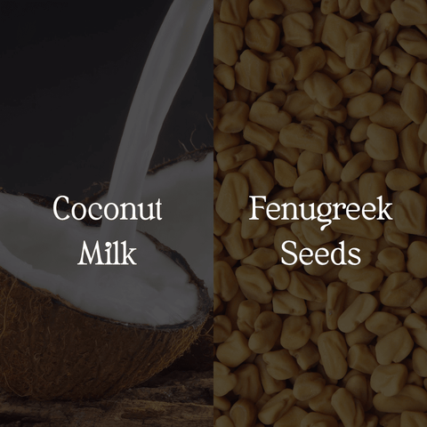 Coconut Milk Shampoo - Sun Kissed Skin Care