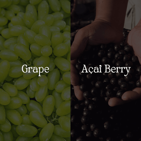 Grape & Acai Berry Body Wash - Sun Kissed Skin Care