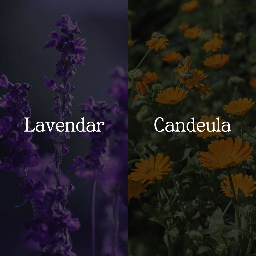 Lavender & Chamomile Body Wash - Sun Kissed Skin Care