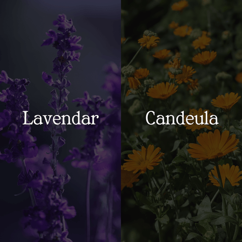 Lavender & Chamomile Body Wash - Sun Kissed Skin Care
