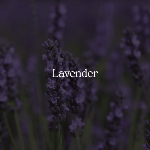 Pure Lavender Toner - Sun Kissed Skin Care