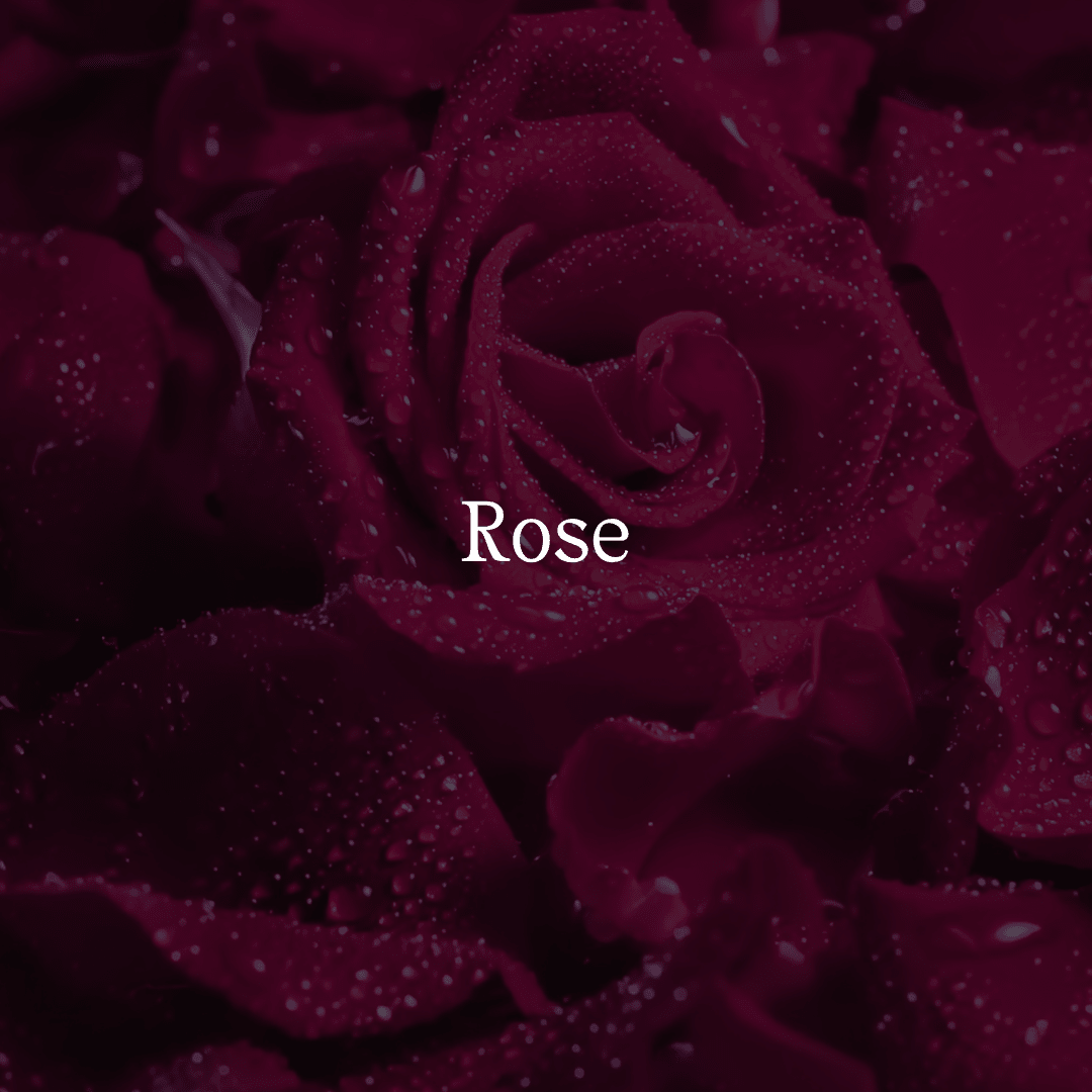 Pure Rose Toner - Sun Kissed Skin Care
