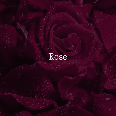 Pure Rose Toner - Sun Kissed Skin Care