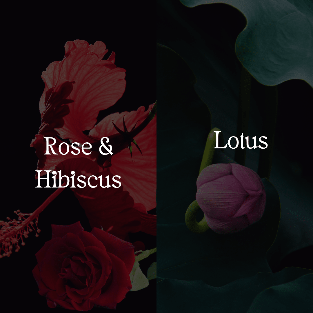 Rose Glow Face Mask - Sun Kissed Skin Care