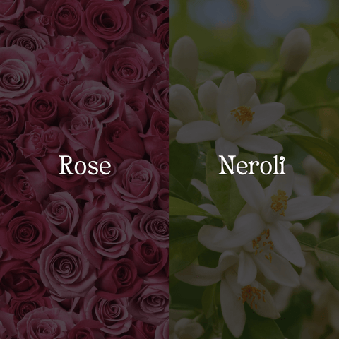Rose & Neroli Body Butter - Sun Kissed Skin Care